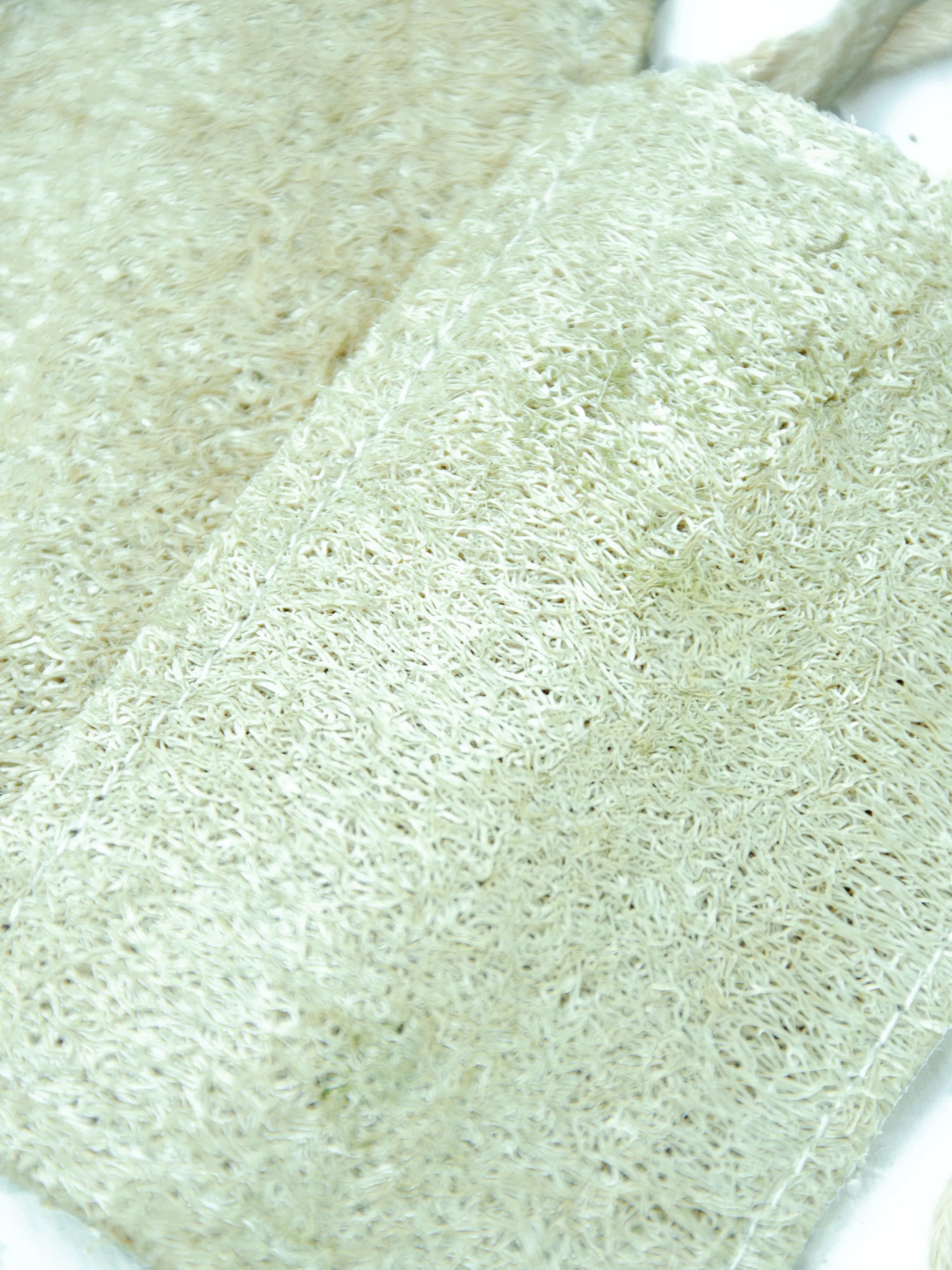 3 Pack Eco Dish Sponges