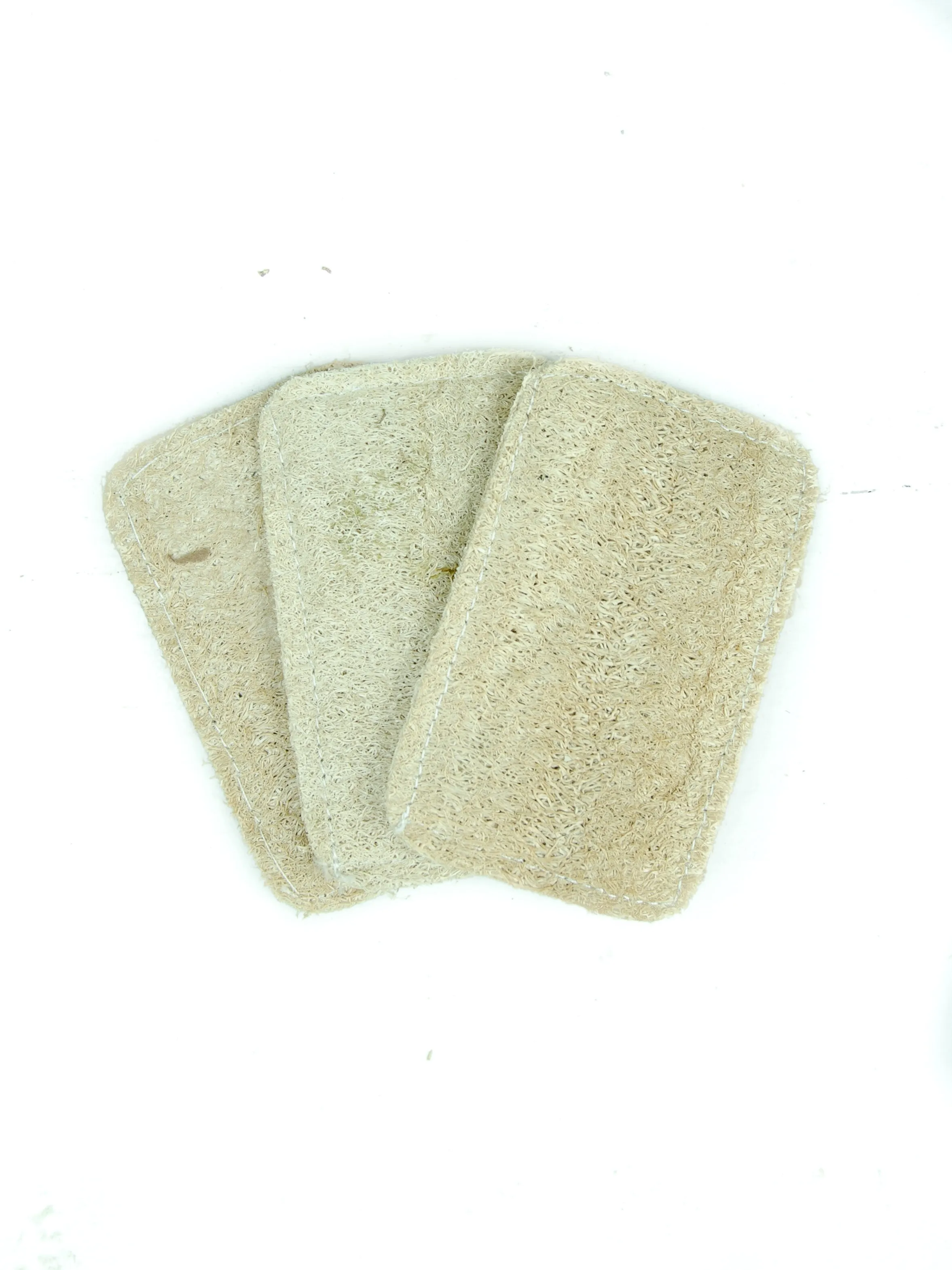 3 Pack Eco Dish Sponges