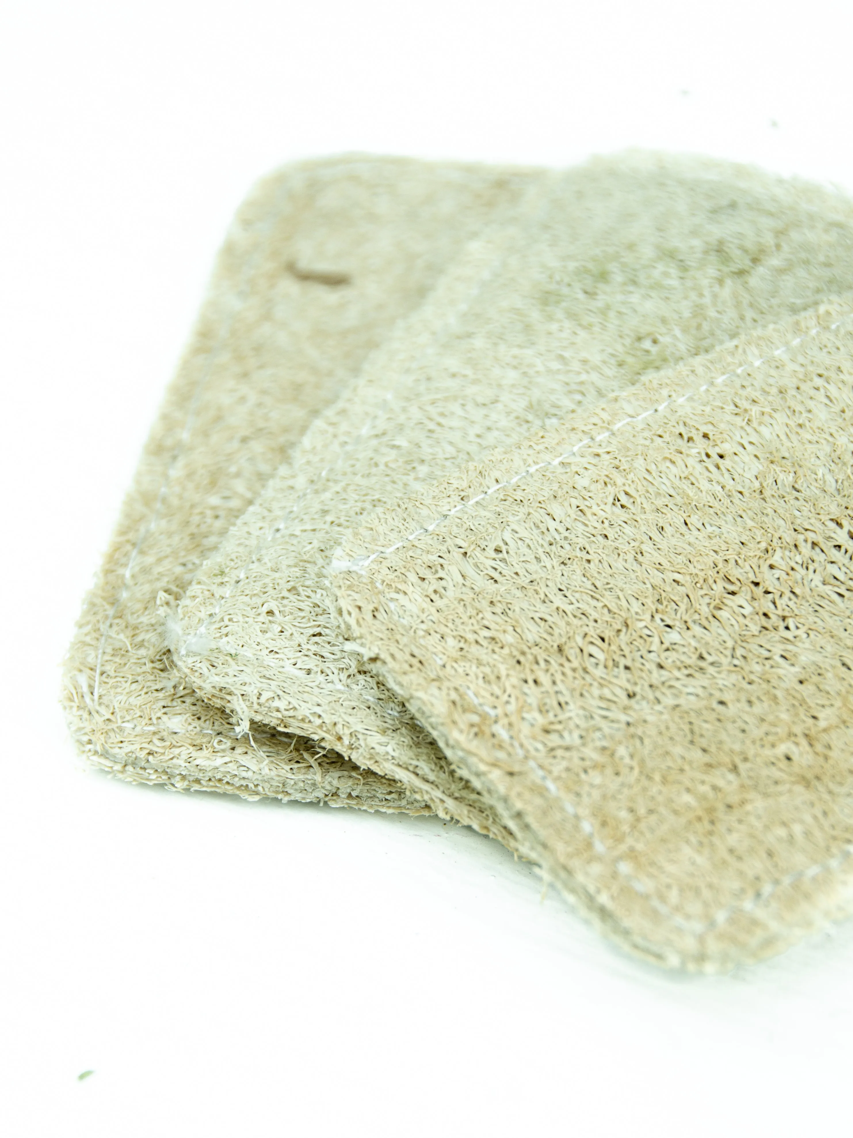 3 Pack Eco Dish Sponges