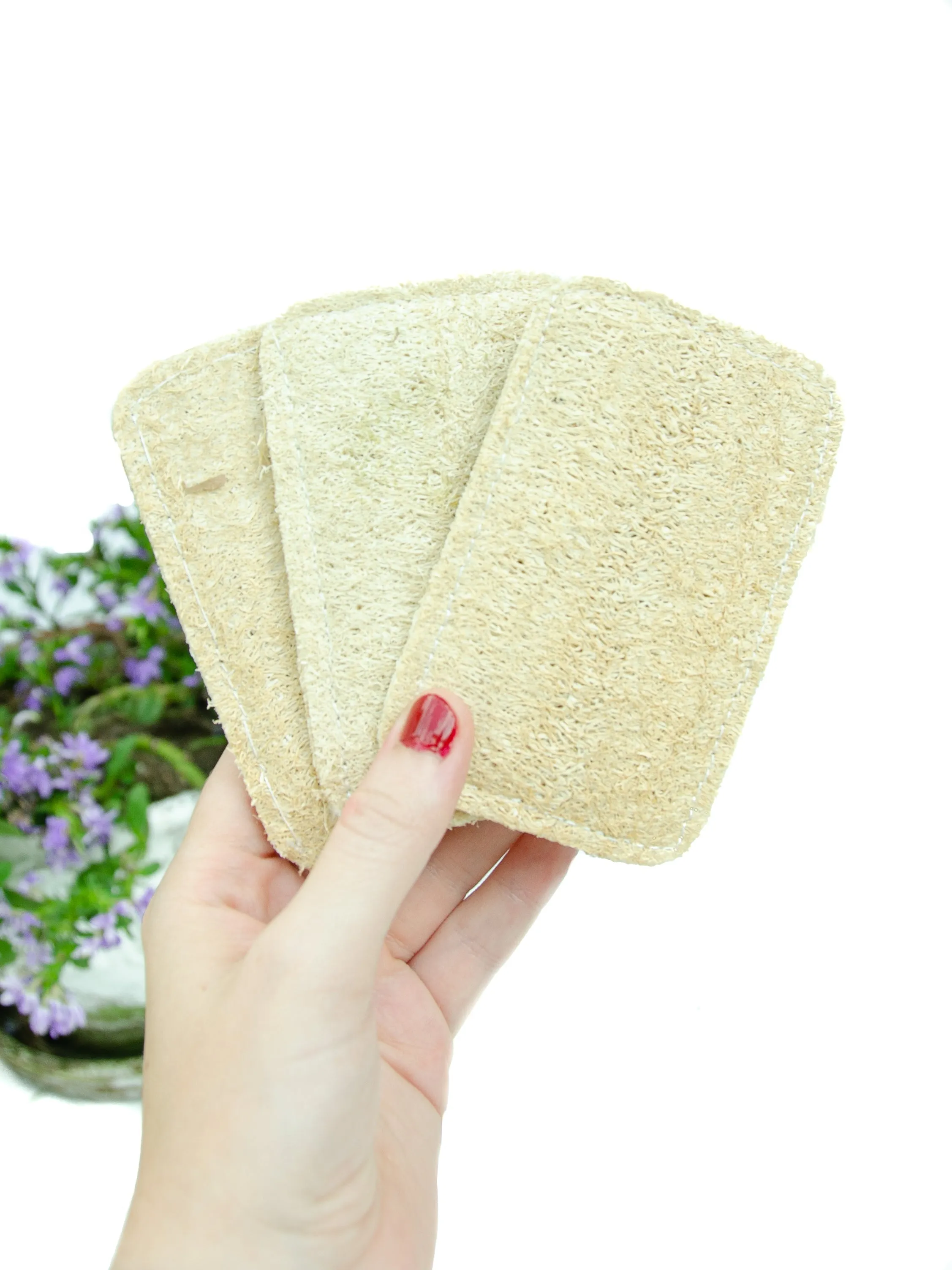 3 Pack Eco Dish Sponges