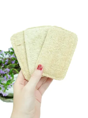 3 Pack Eco Dish Sponges