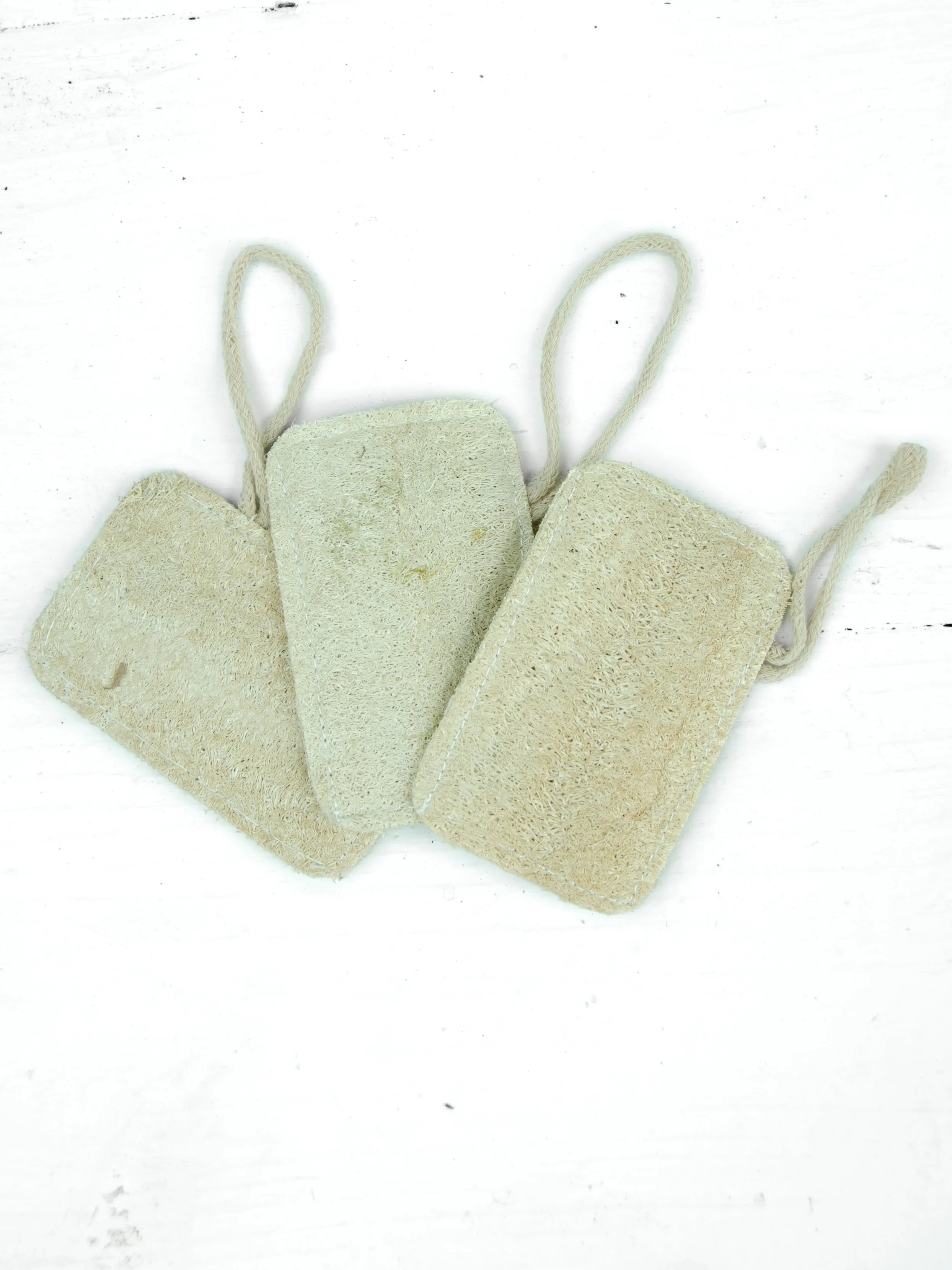 3 Pack Eco Dish Sponges