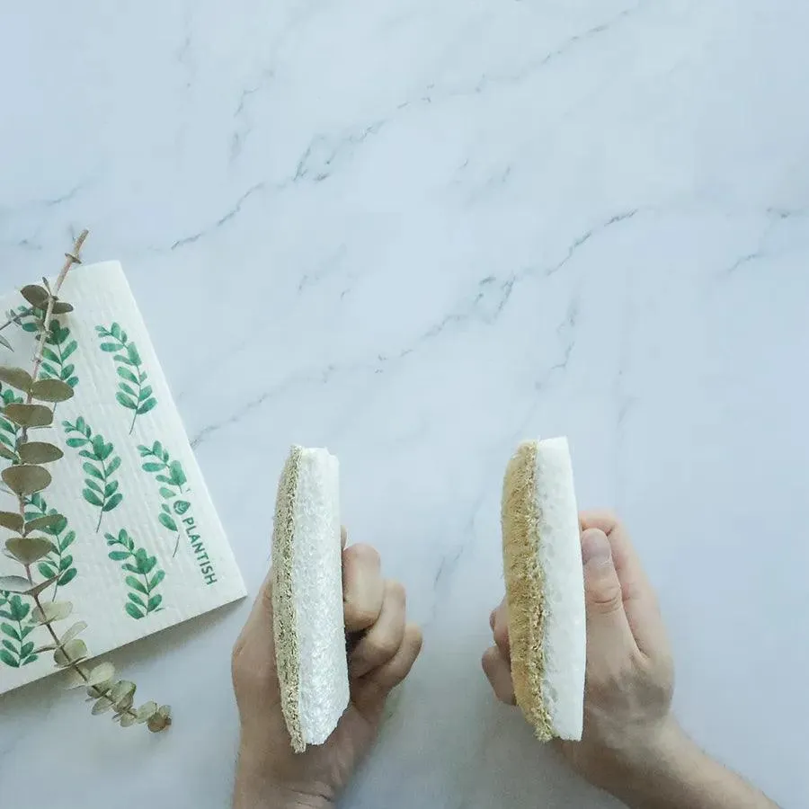 Eco Sponge