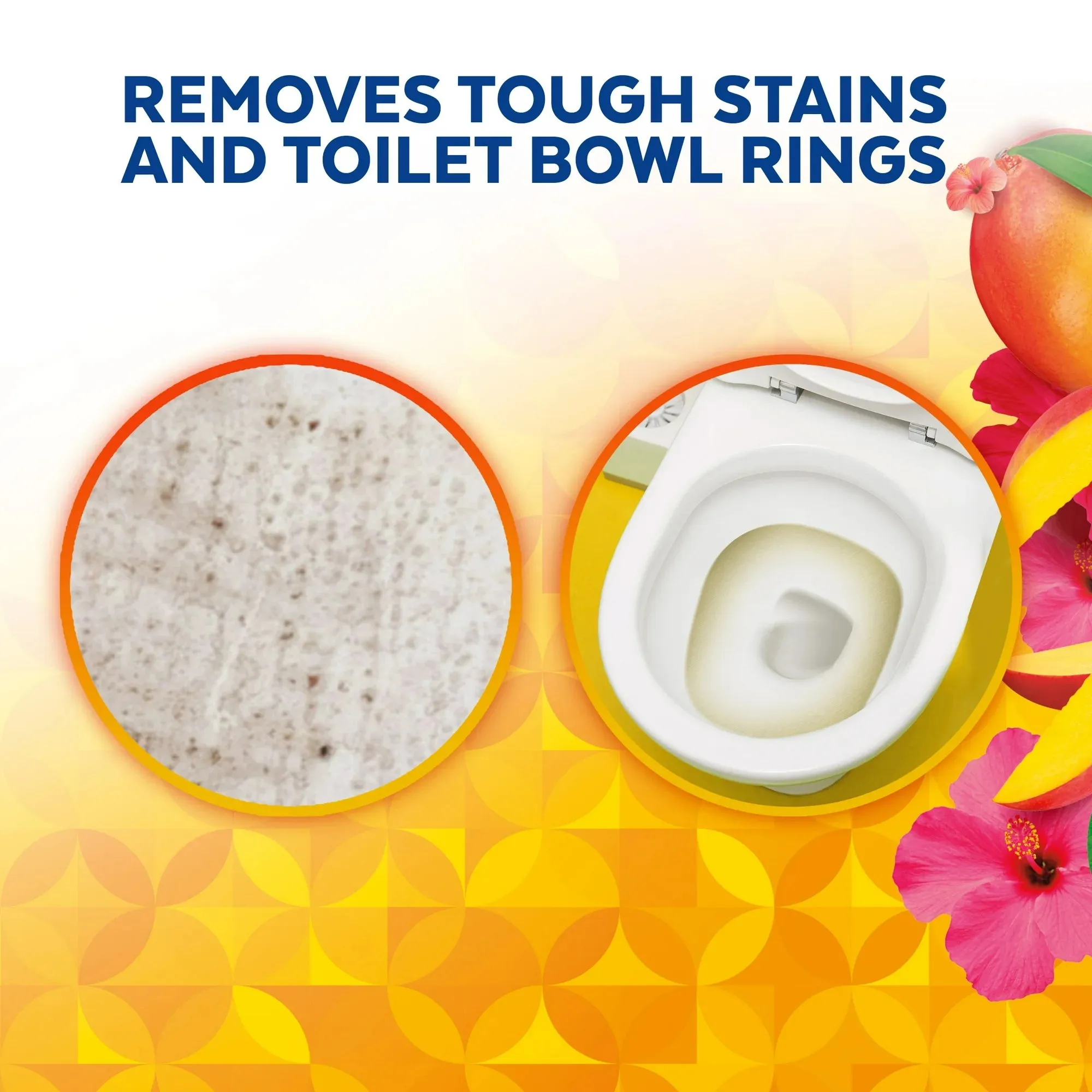 Lysol Toilet Bowl Cleaner Gel, For Cleaning and Disinfecting, Stain Removal, Brand New Day, Mango and Hibiscus, 24oz