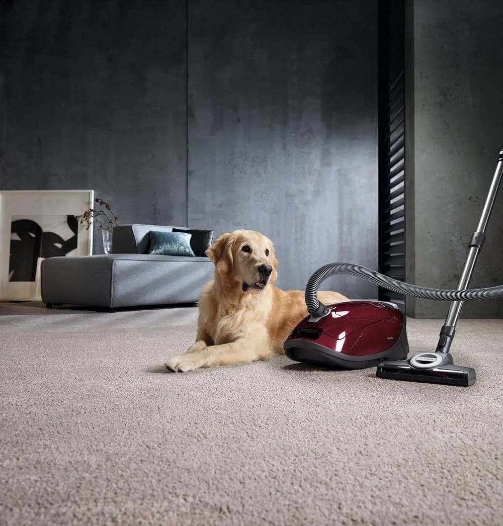 Miele Complete C3 Cat and Dog Bagged Cylinder Vacuum Cleaner Tayberry Red