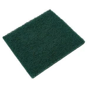 Pot Brite™ Jumbo Scouring Pad, 6"x6" w/ Heavy Duty Fiber