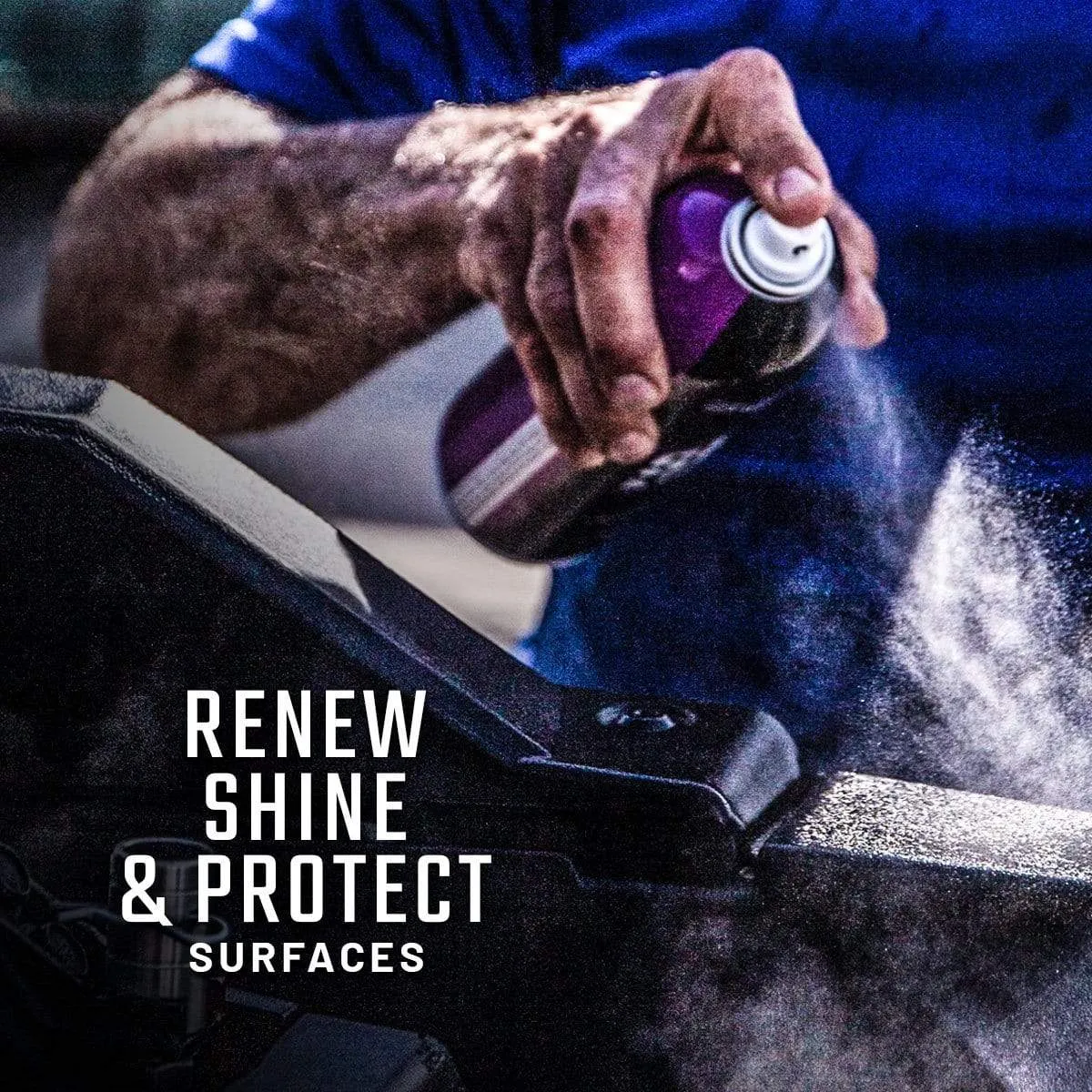 Shine & Protectant - Special Offer