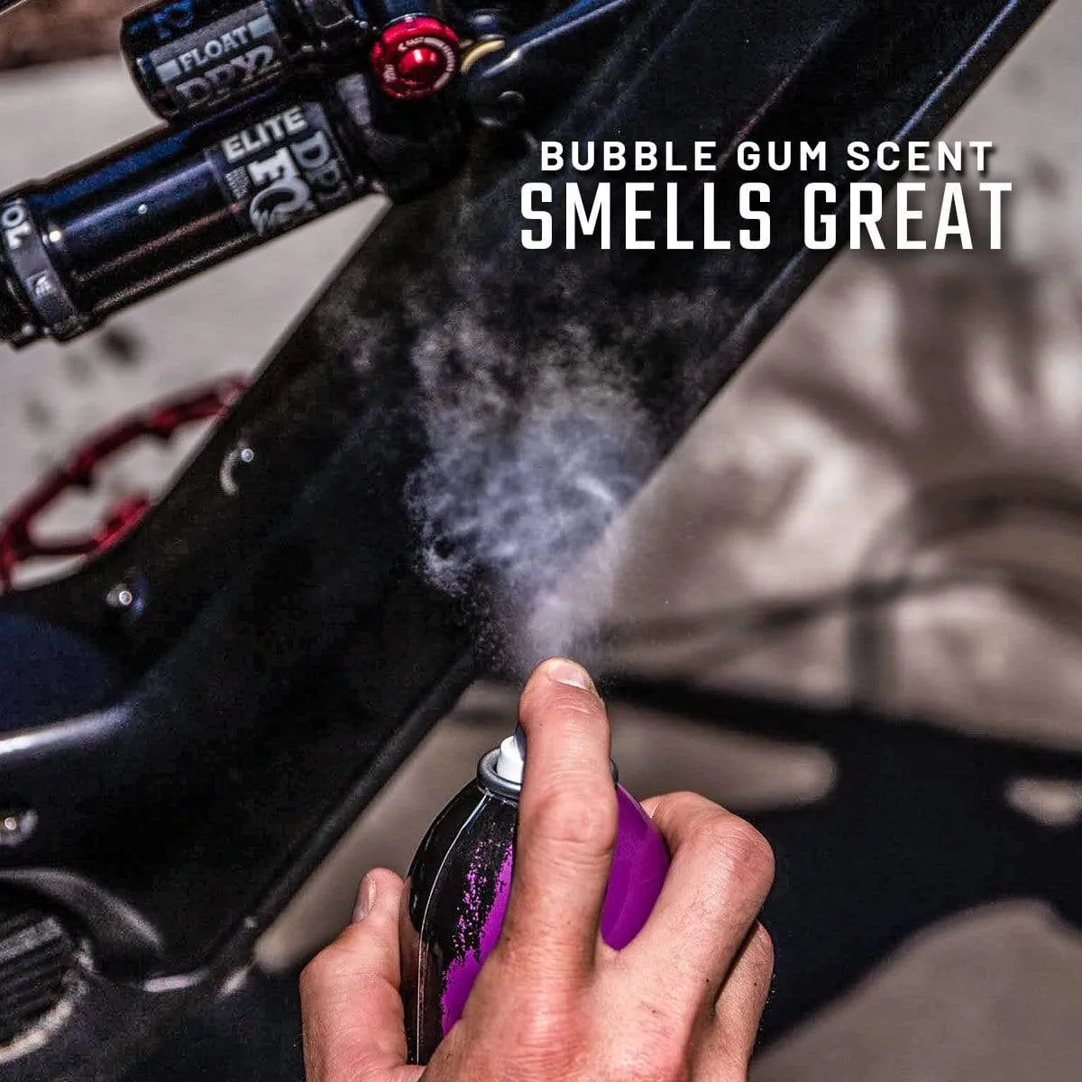 Shine & Protectant - Special Offer